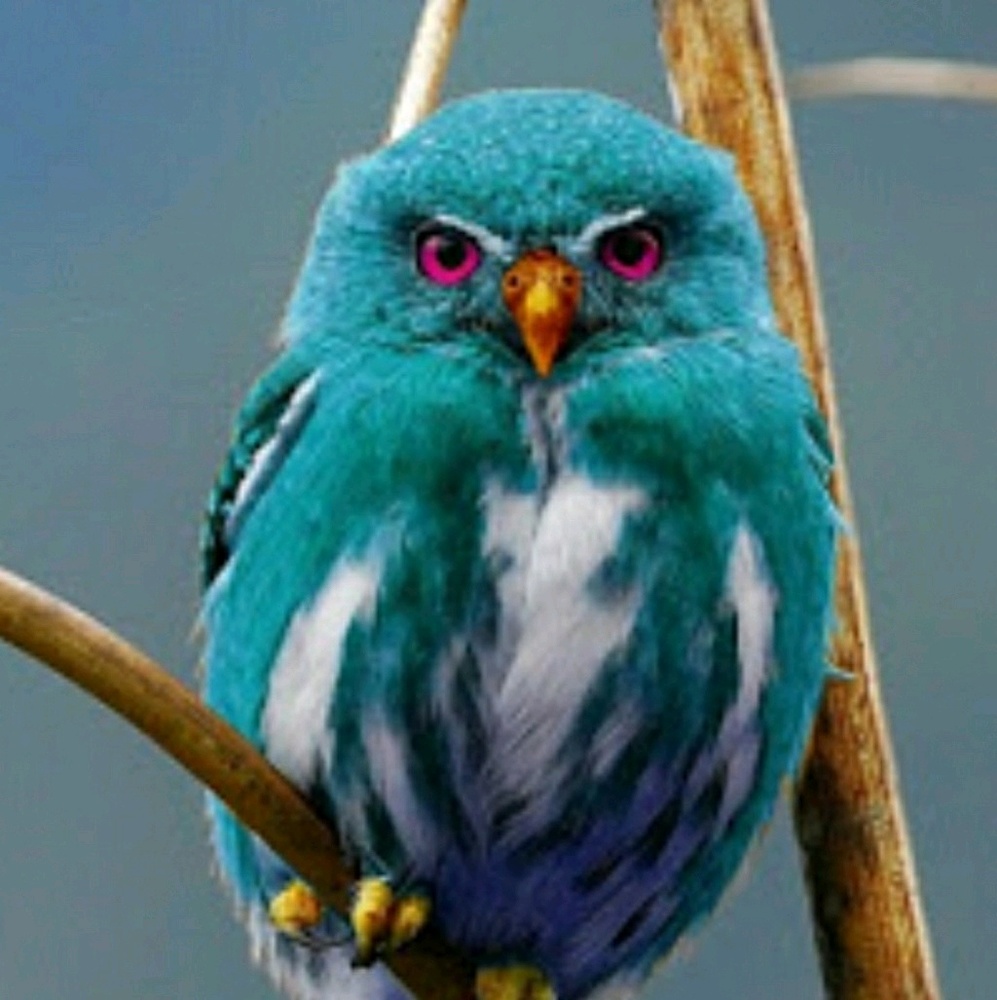 Meet your Posher, Marissa